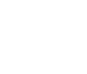 2-iconos-forland-LLR