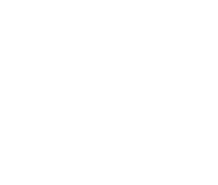 2-iconos-forland-LLR