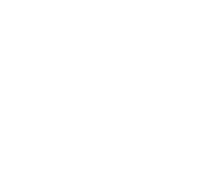 3-iconos-forland-LLR